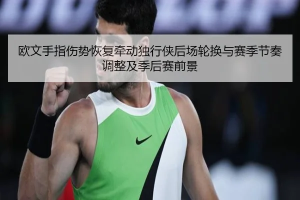 欧文手指伤势恢复牵动独行侠后场轮换与赛季节奏调整及季后赛前景（okooo）